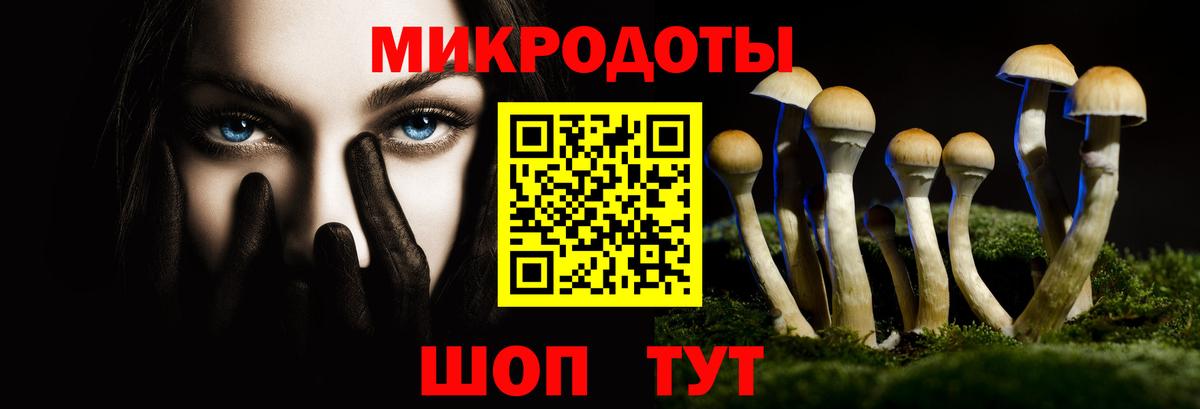 Галлюциногенные грибы Cubensis  Вход с VPN  Лабинск 